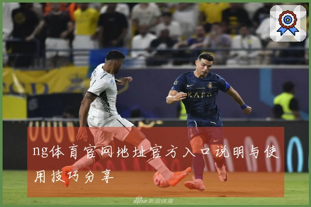 ng体育官网地址官方入口说明与使用技巧分享