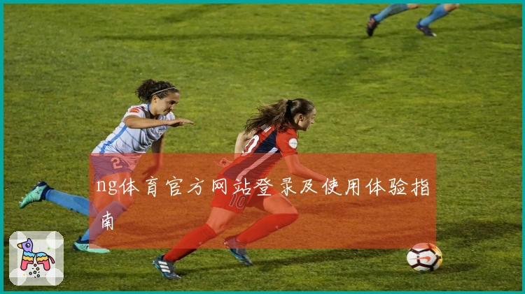 ng体育官方网站登录及使用体验指南
