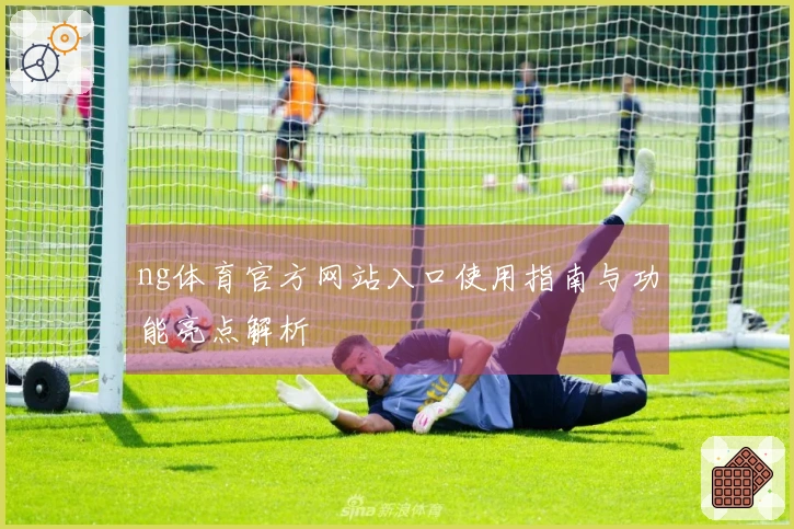 ng体育官方网站入口使用指南与功能亮点解析