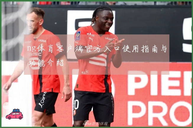 ng体育客户端官方入口使用指南与功能介绍