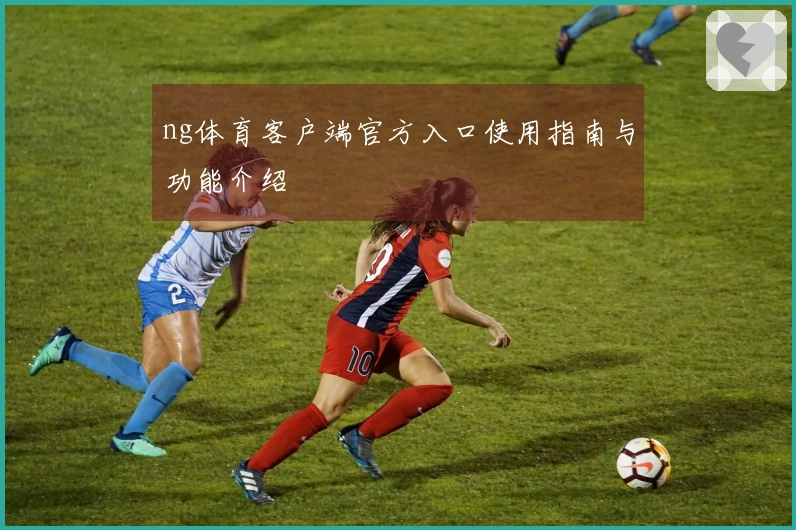 ng体育客户端官方入口使用指南与功能介绍