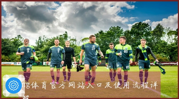 ng体育官方网站入口及使用流程详解