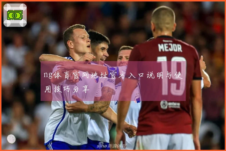 ng体育官网地址官方入口说明与使用技巧分享