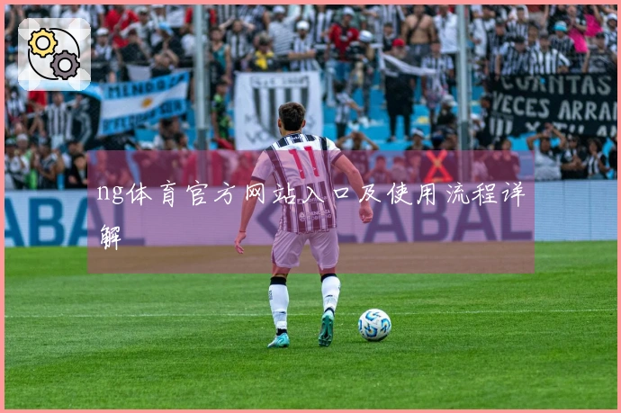 ng体育官方网站入口及使用流程详解